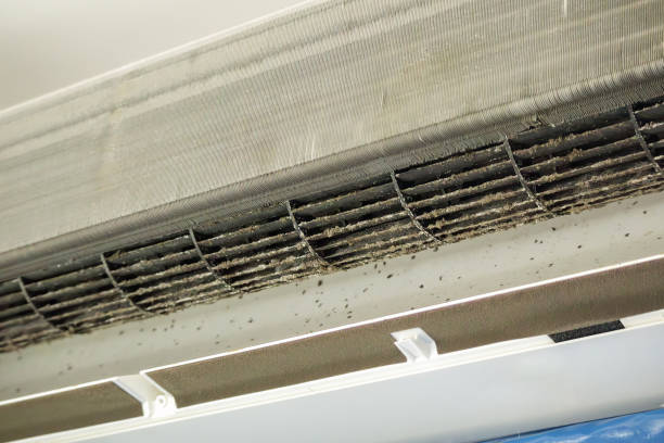 Best HVAC Duct Inspection Services  in Williamston, SC